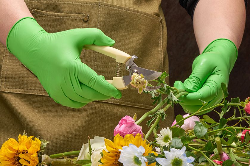 Biodegradable Powder Free Nitrile Examination Glove