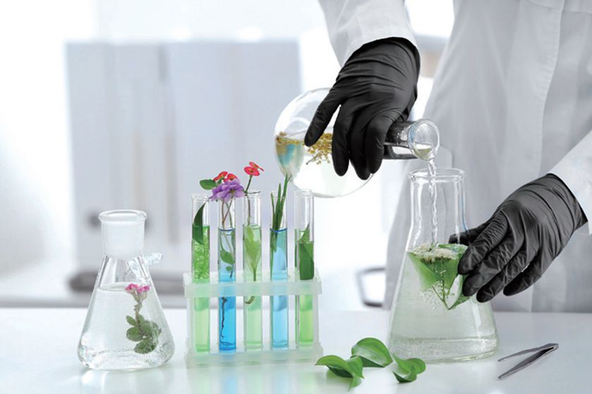 Powder Free Vinyl/Nitrile Blend Glove